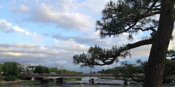 『京都おさんぽ＃２２』賀茂川～鴨川をブラブラ。雨のちハレ！